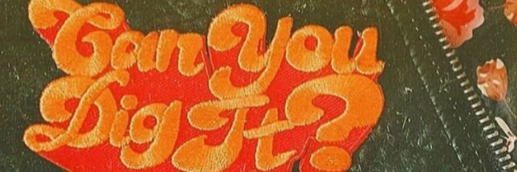 disko__lemonade's profile banner image