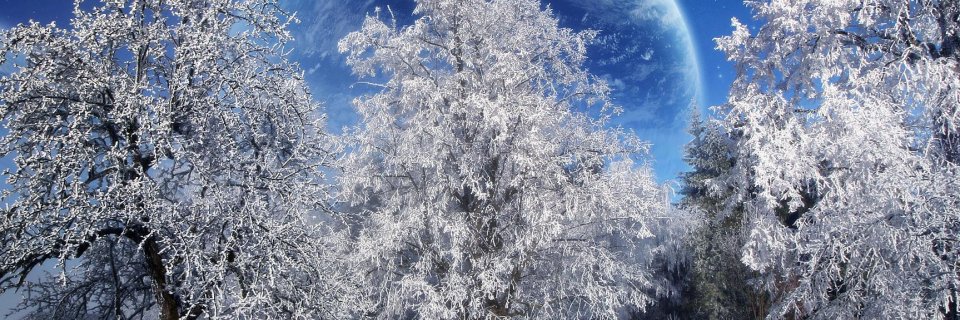 rhputra__'s profile banner image