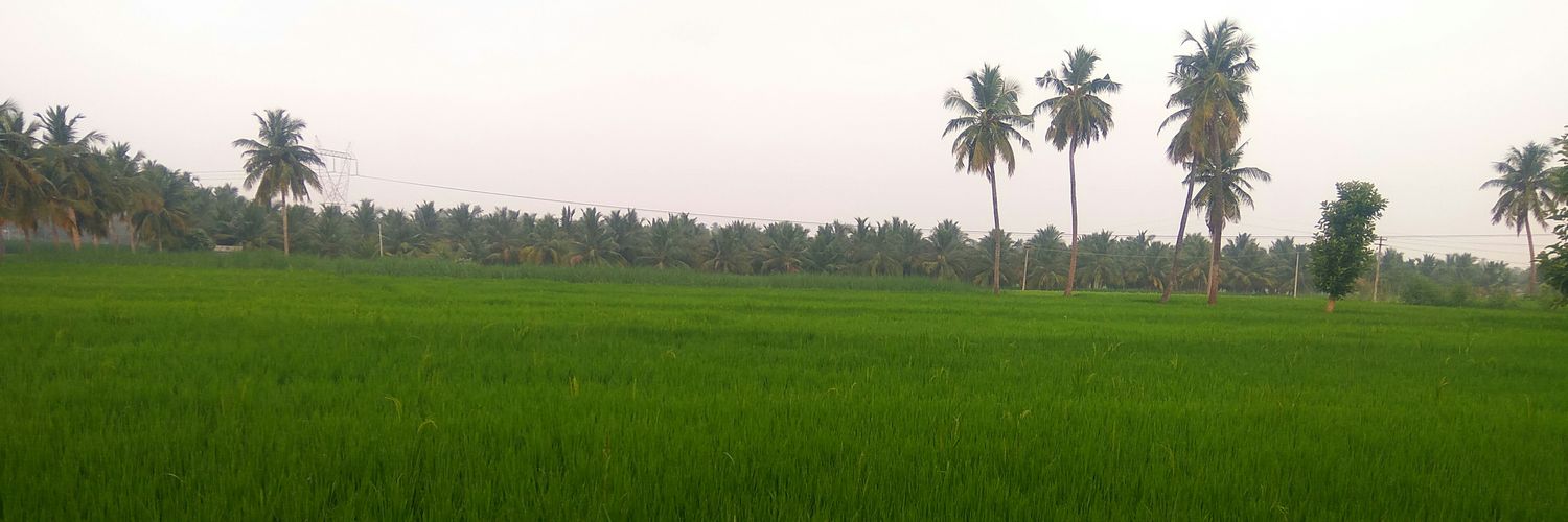 majikathali's profile banner image