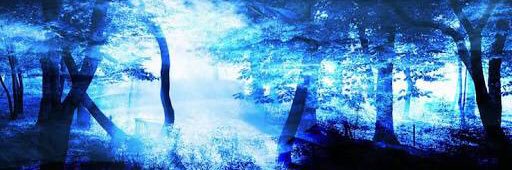mo9ri30shun's profile banner image
