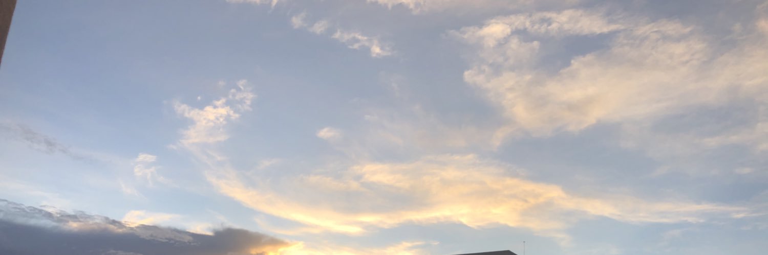 maribotta's profile banner image