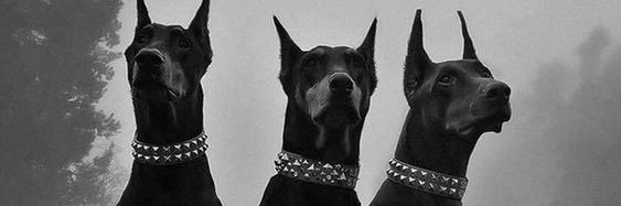 kblykul's profile banner image
