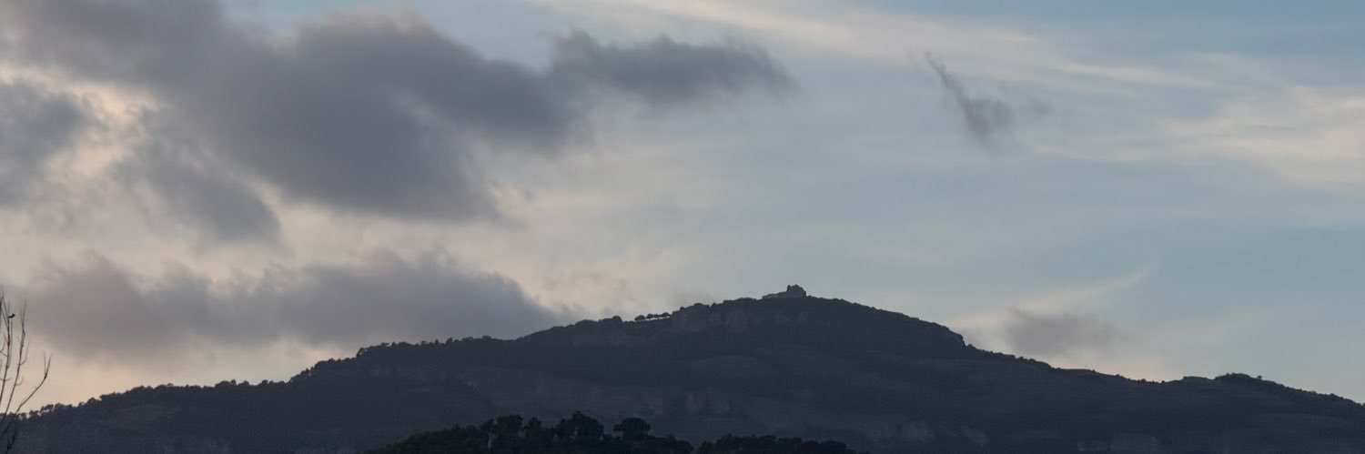 FranMichele_'s profile banner image