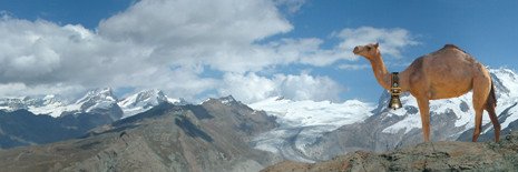 baumerits's profile banner image