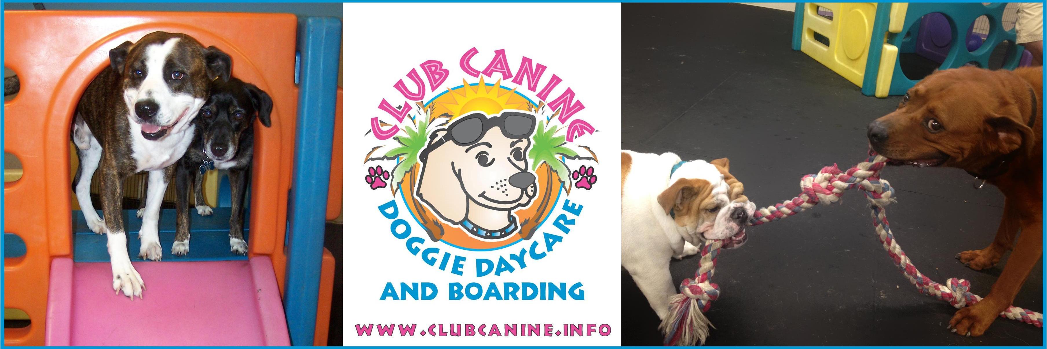 ClubCanineDogs's profile banner image