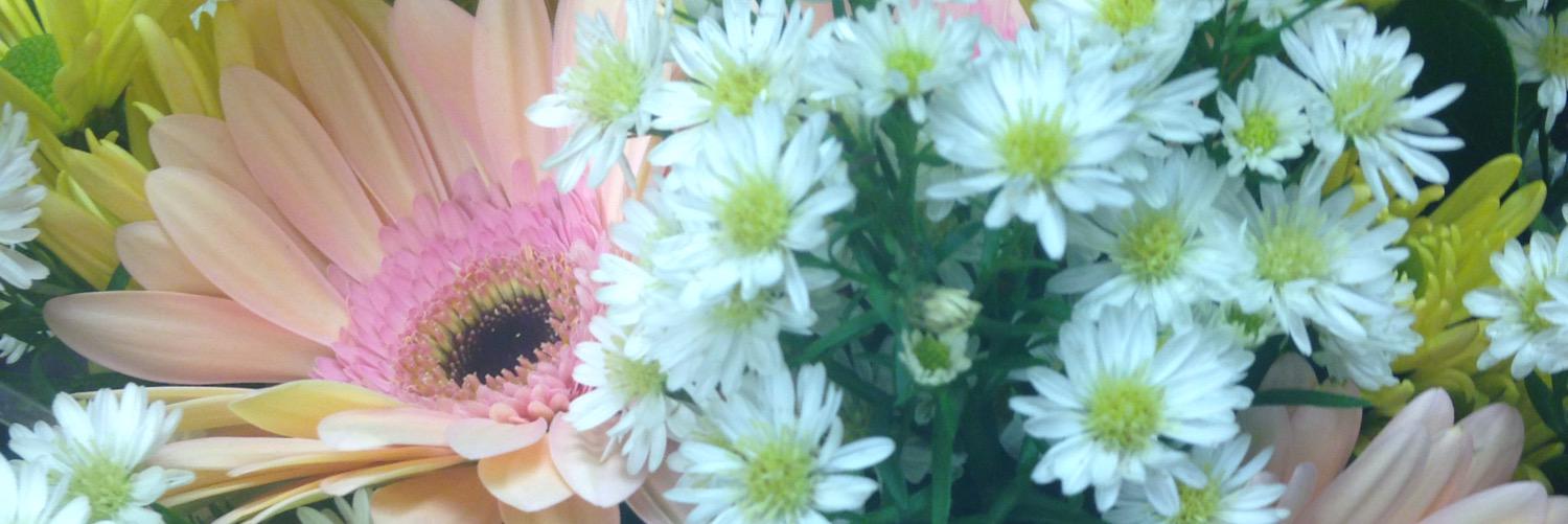 JKofficial's profile banner image