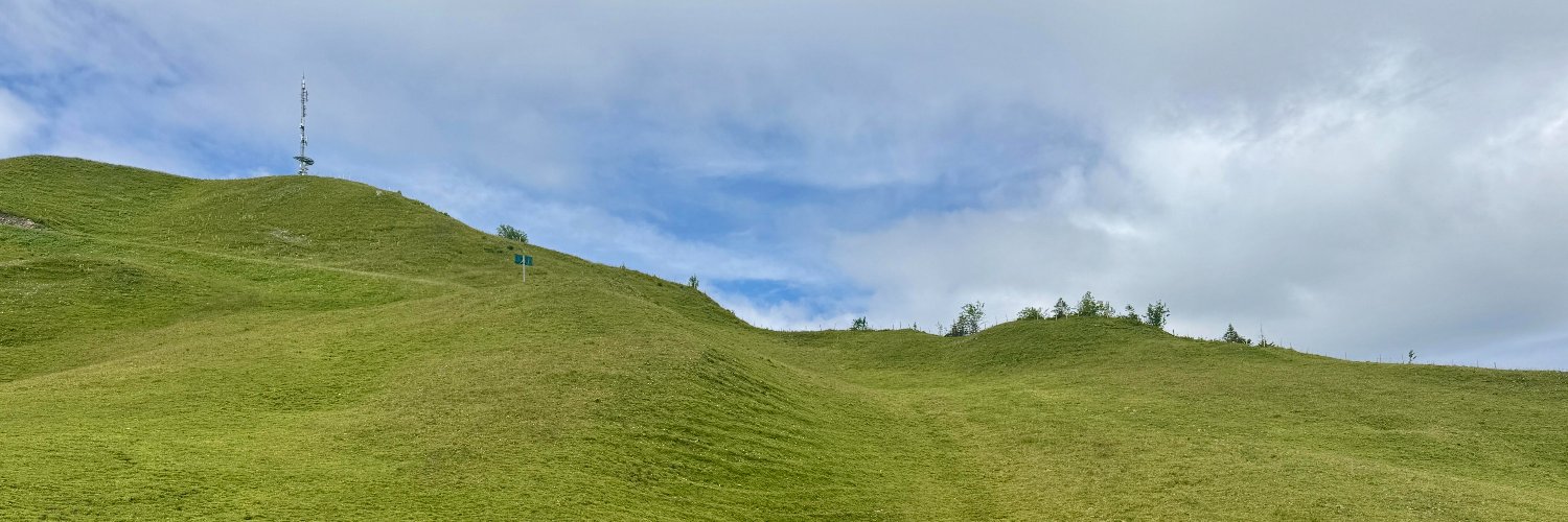 WongAllison15's profile banner image