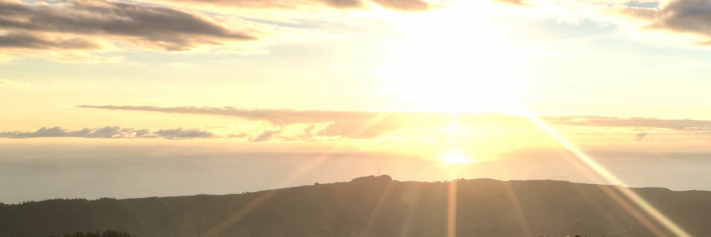 mowan1's profile banner image