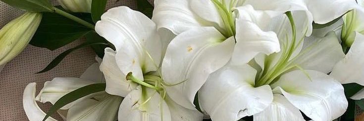 appIe_jack_'s profile banner image