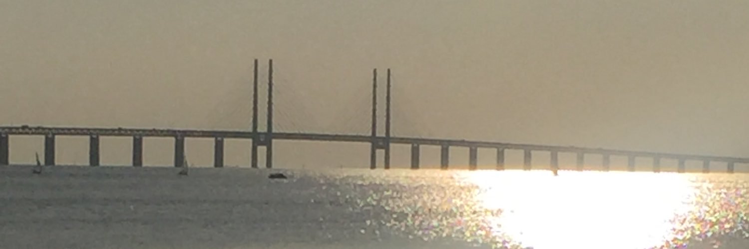 Torbjörn Larsson banner