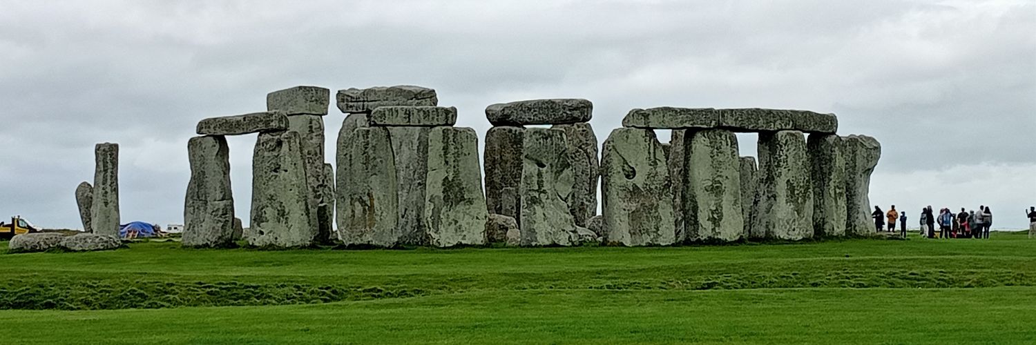 Laura 🌎☮️🕊️💜❎'s banner