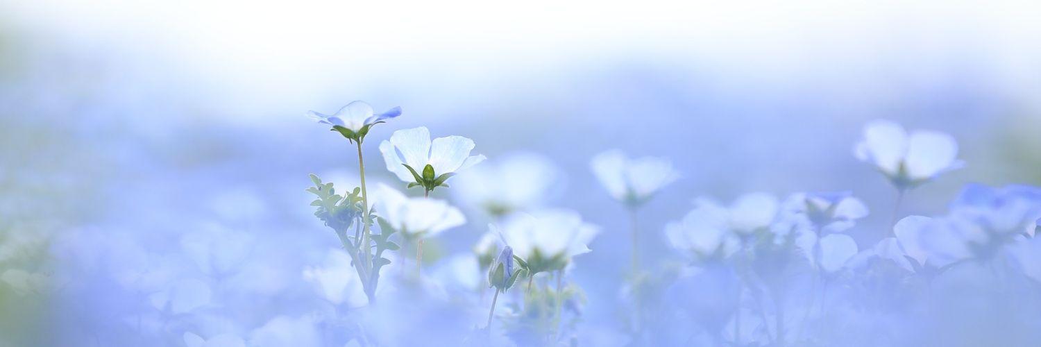 521_yoshi's profile banner image