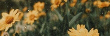 farrakamila's profile banner image
