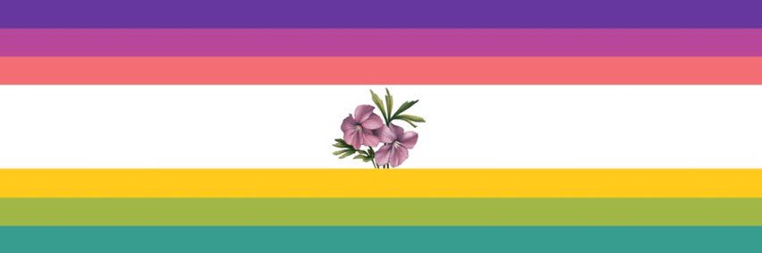 yeahimtrans's profile banner image