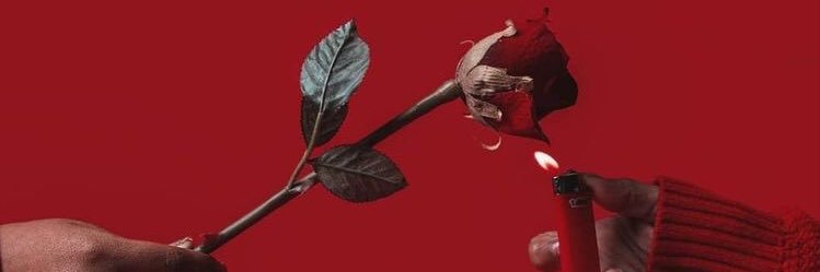 NZT_48____'s profile banner image