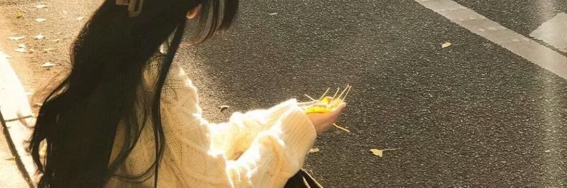 软软 banner