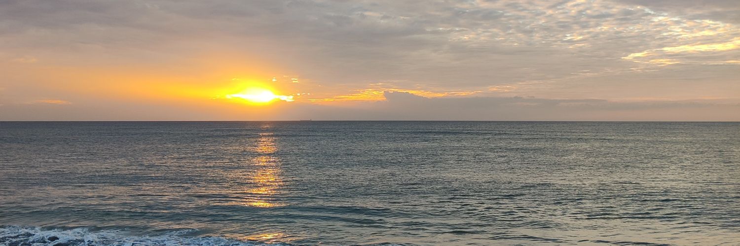 chachichach's profile banner image