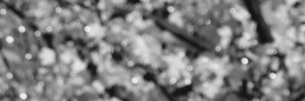 thereallexow's profile banner image