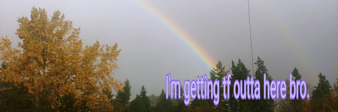 ❄️🦇Iquey🦨☃️ banner