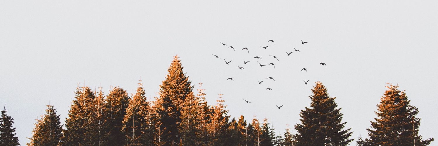 KyleRoycroft's profile banner image