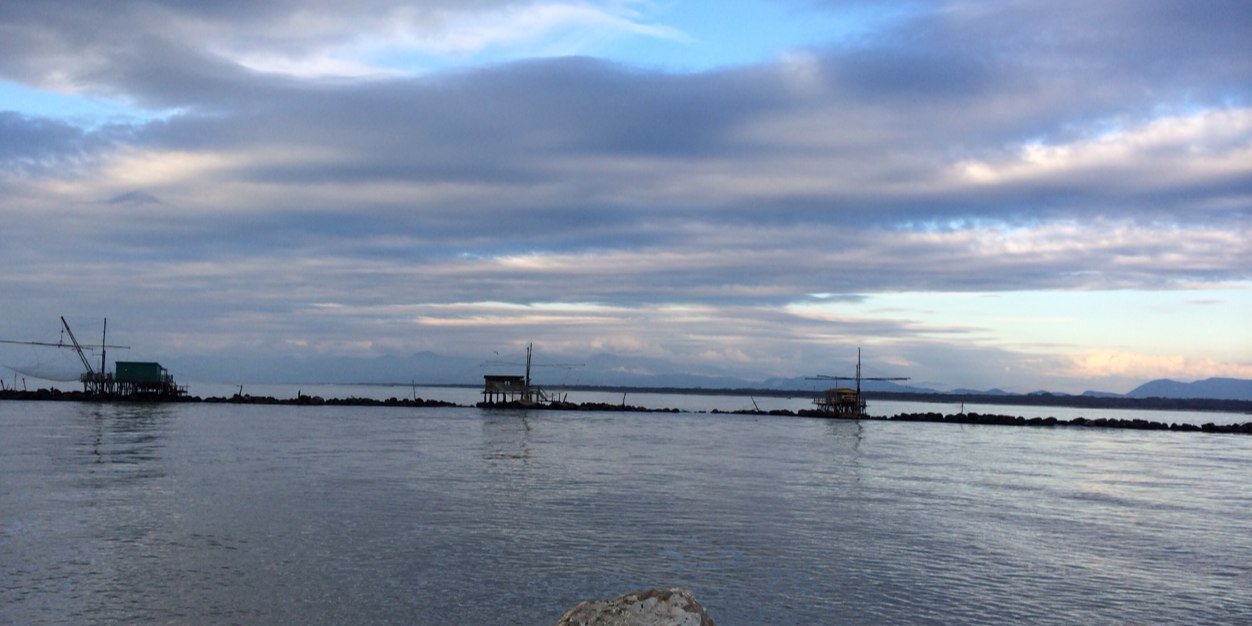 Alberto Barachini banner
