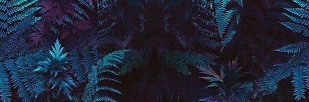 stay banner