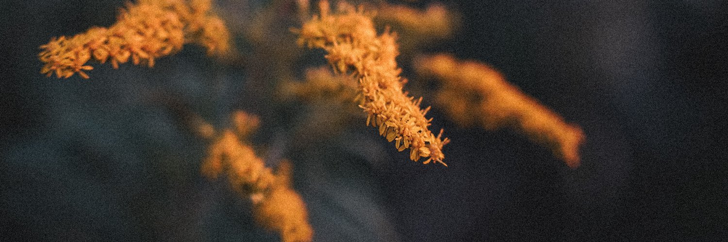 eagleowl3d's profile banner image