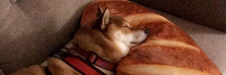 mauhong's profile banner image