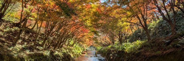 sil_nyan Profile Banner