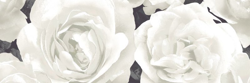 ChelseaBeer's profile banner image