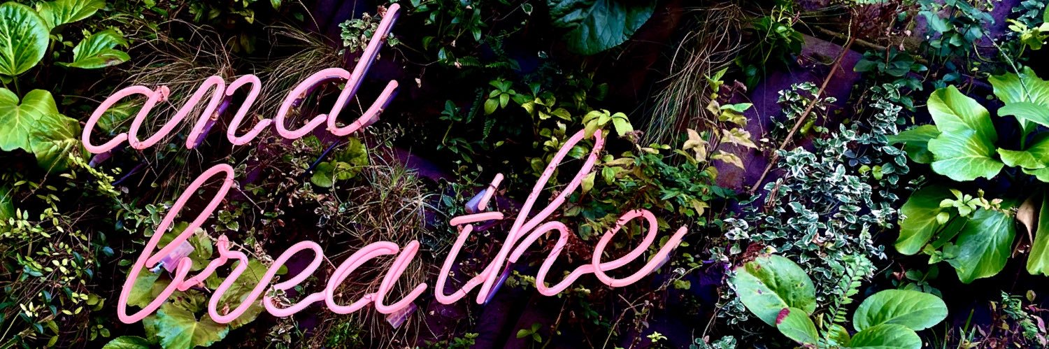 Ali Wasdovich banner