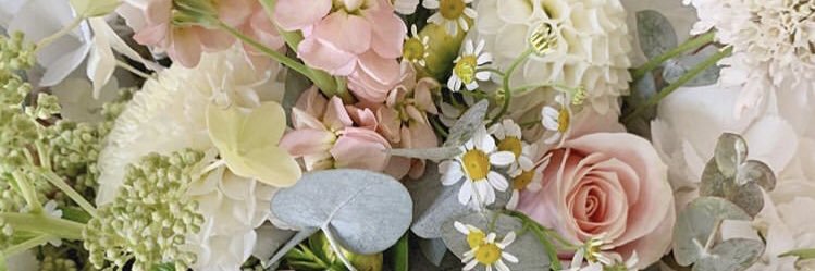 lesleybradl's profile banner image