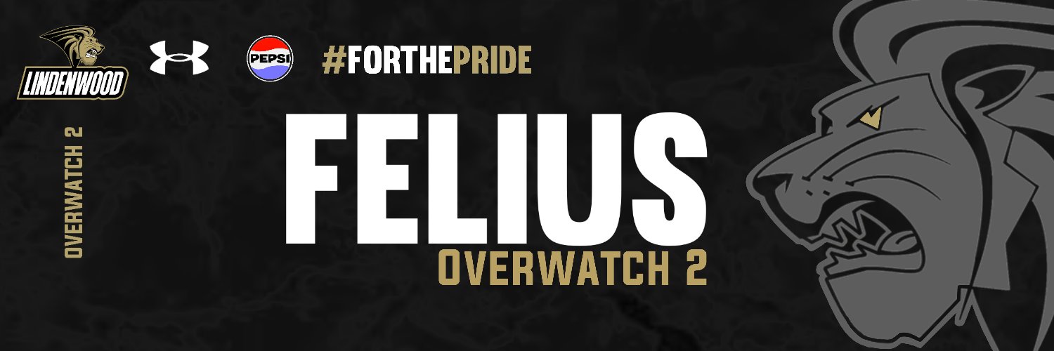Felius banner
