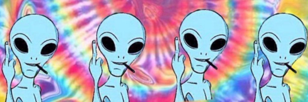 Rachel Rudolph banner