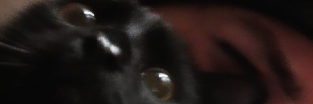 platanomichi's profile banner image