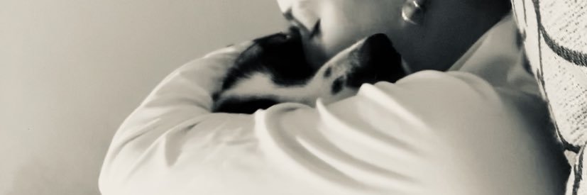 marticaffaro's profile banner image