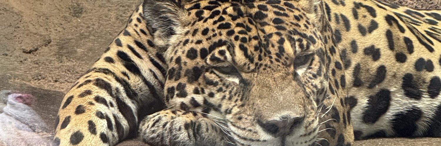 mitamitan123's profile banner image