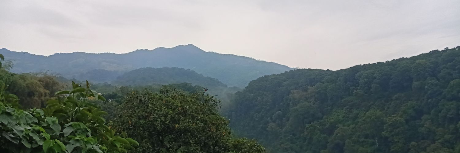PurwonoPung's profile banner image
