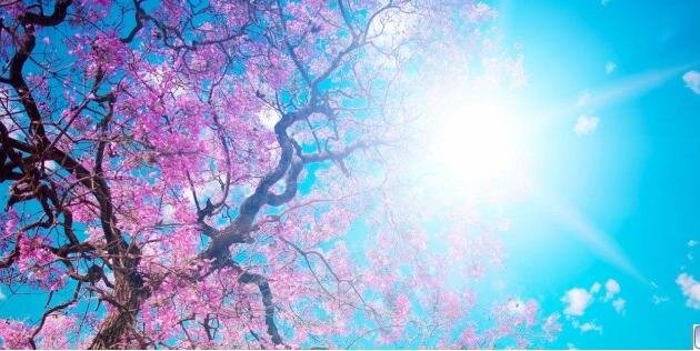 22ca_'s profile banner image