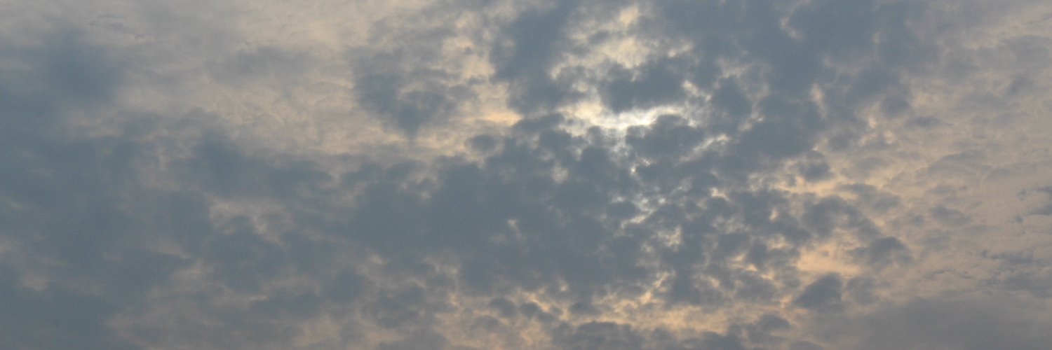 Rishbarora's profile banner image
