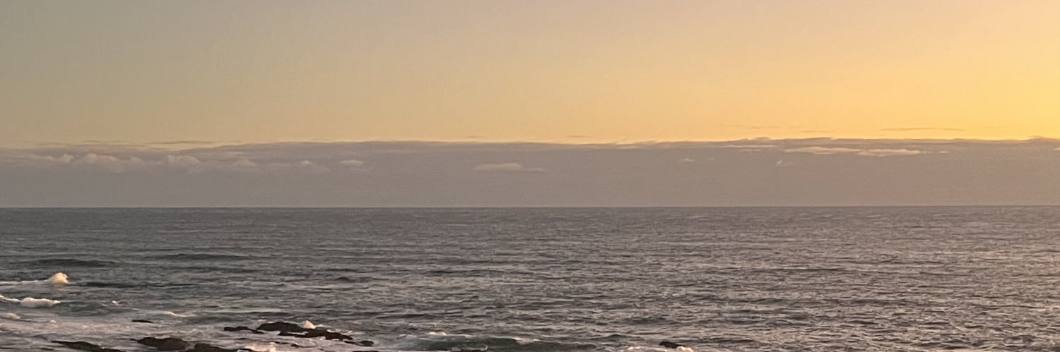 ghonimash's profile banner image
