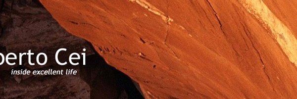 Alberto Cei banner