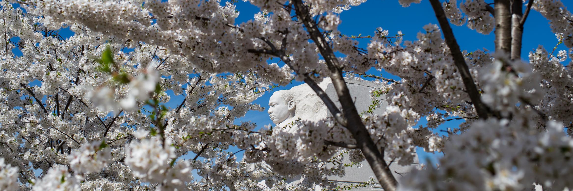 Washington Post Video banner