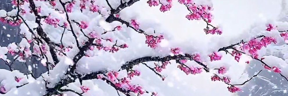 TimeLady2015's profile banner image