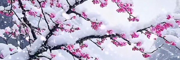 TimeLady2015 Profile Banner