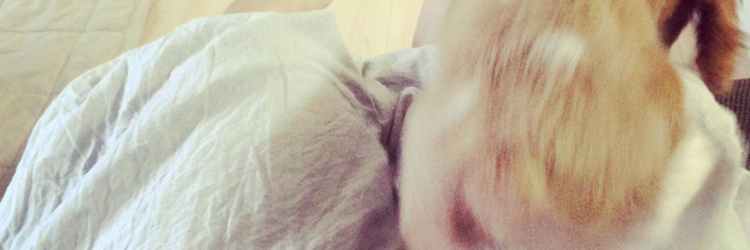 chloeplants's profile banner image