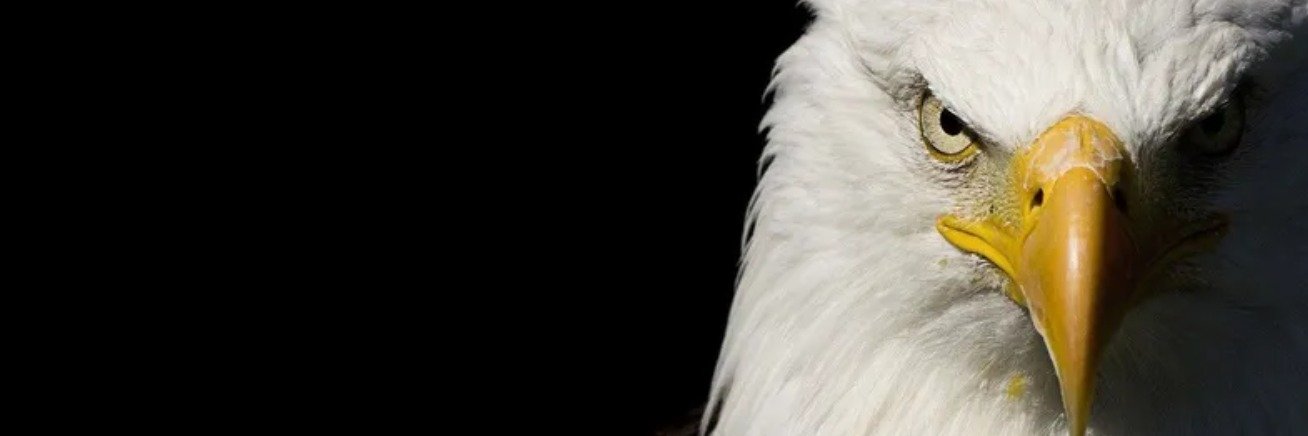 MauricioDoerr's profile banner image