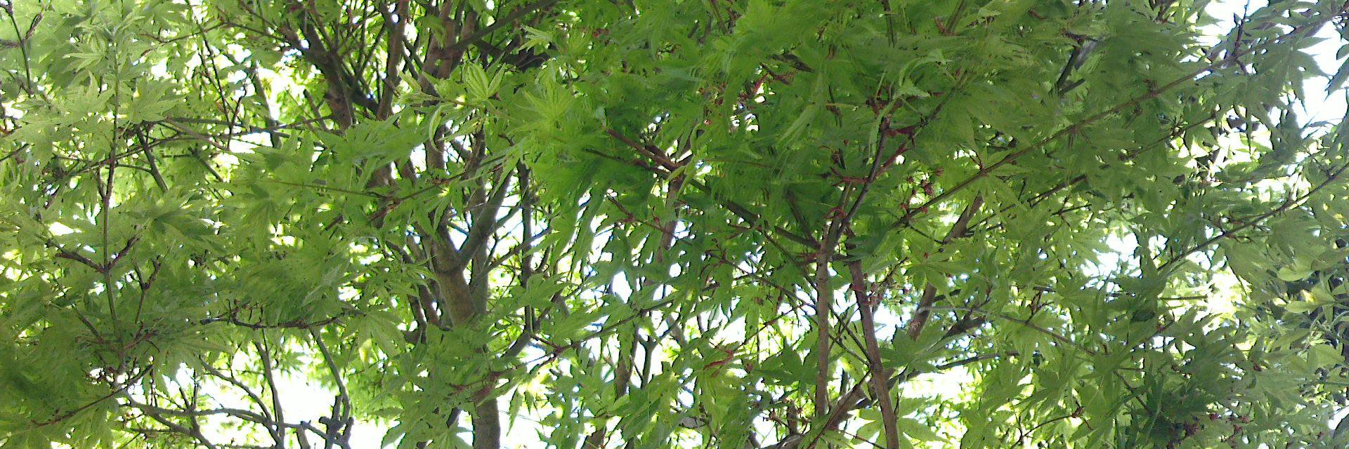 Letter_k_k's profile banner image