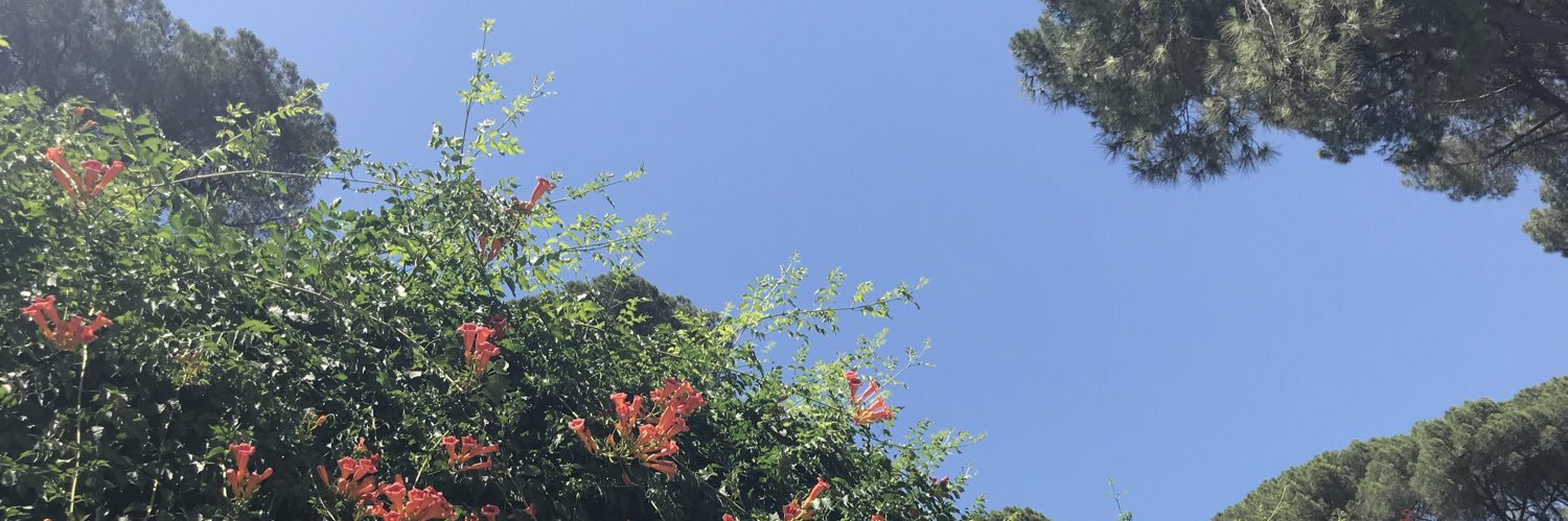 ambpatrick's profile banner image
