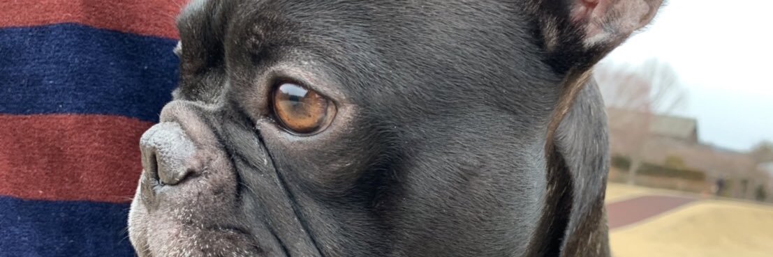 0bx4125's profile banner image